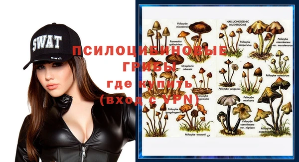 прущие грибы Лиски