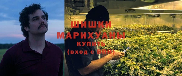 ГАЛЛЮЦИНОГЕННЫЕ ГРИБЫ Лабытнанги
